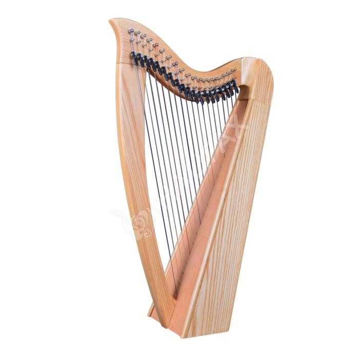 19 Strings Student Harp